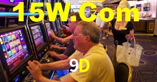 VIP Casino 9D